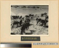 藏品(鄂西會戰：我軍騎兵隊)的圖片